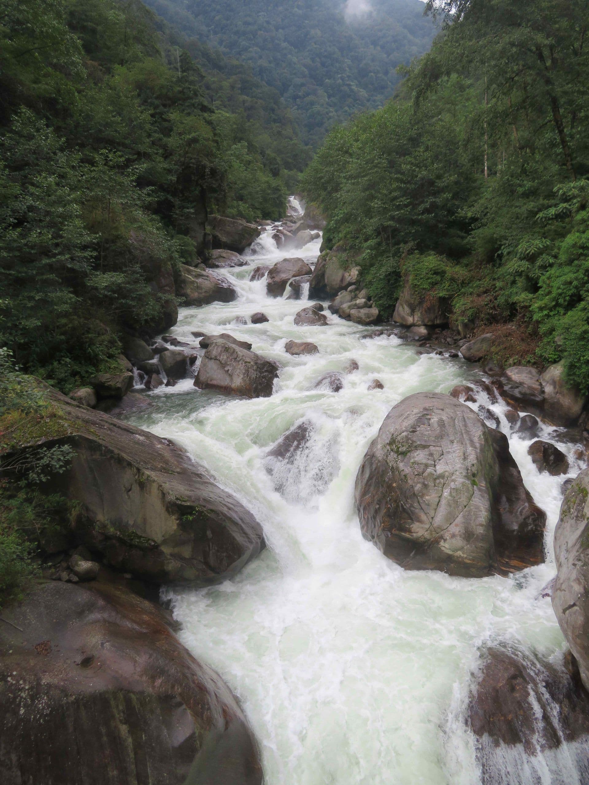 nature